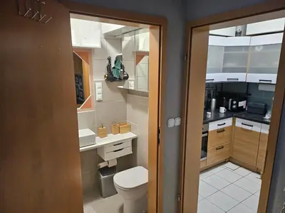 a small bathroom with a toilet and a sink at Radoslove Apt in Radovljica