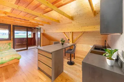 a kitchen and living room of a log cabin at The Barn Košnik in Kranj