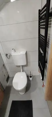 a bathroom with a white toilet and a black cabinet at Mala hiša in Solčava