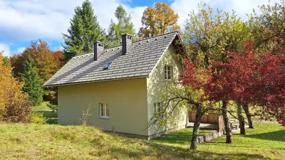 a small house on a hill with trees at Forest House Henriette in Ig