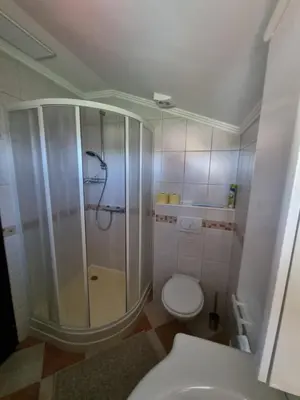 a bathroom with a shower and a toilet at Romantisches Kellerstöckl - Jeruzalem in Ivanjkovci