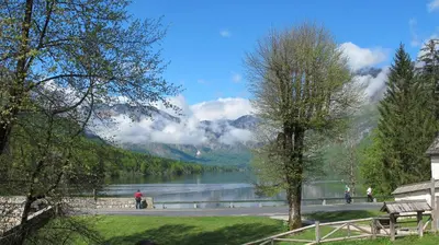 a view of a lake with mountains in the background at Apartment Zalokar in Bohinj