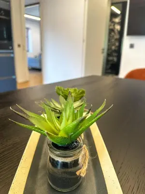 a green plant in a glass jar on a table at Eipprova deluxe apartment in Rove