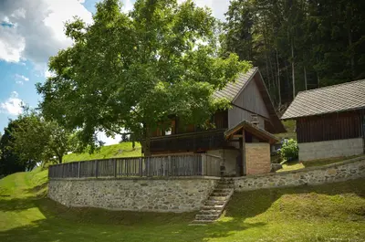 a house on top of a hill with a tree at Koča v Lozah in Gornji Grad