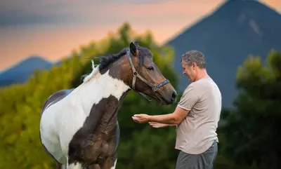 a man standing next to a brown and white horse at Turistična kmetija Pod kostanji - FarmStay Pod kostanji in Motnik