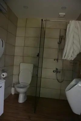 a bathroom with a toilet and a shower and a sink at Turistična kmetija Pod kostanji - FarmStay Pod kostanji in Motnik