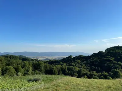 a view of a hill with a field and trees at Apartment9B with amazing view in Krško