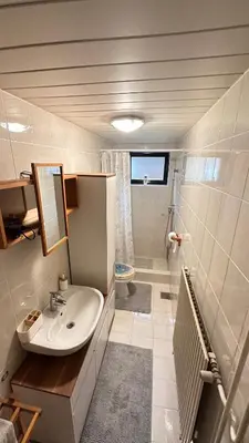 a bathroom with a sink and a toilet at Room under Velika planina in Stahovica