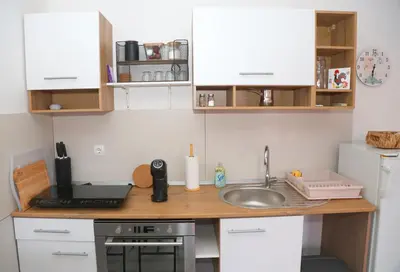 a small kitchen with a sink and a counter at Villa Volk in Ilirska Bistrica