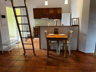 a kitchen with a table with chairs and a ladder at Nature and City Access - Perfect Base in Ljubljana in Ljubljana