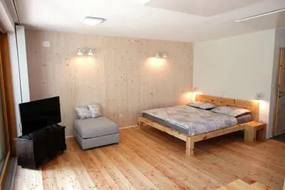 a bedroom with a bed and a tv and a chair at Bled Forest Apartment in Bled