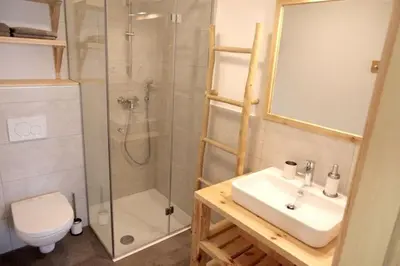 a bathroom with a shower and a sink and a toilet at Bled Forest Apartment in Bled