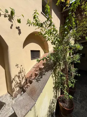 a building with potted plants on the side of it at Vida's homes in Ljubljana