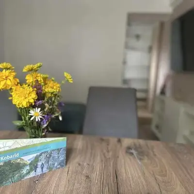 Apartment Tonc