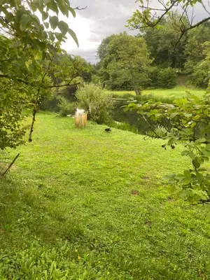 a field of green grass with a cow in the distance at Retreat House River Krka - Hiša oddiha reka Krka in Krka