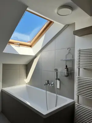 a bathroom with a large bath tub with a skylight at Cukr in Ljubljana