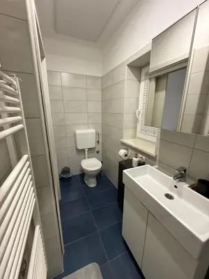 a bathroom with a toilet and a sink at House Mohar in Lokev