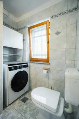 a bathroom with a toilet and a washing machine at Spacious Apartment Senozece - with terrace & grill in Senožeče