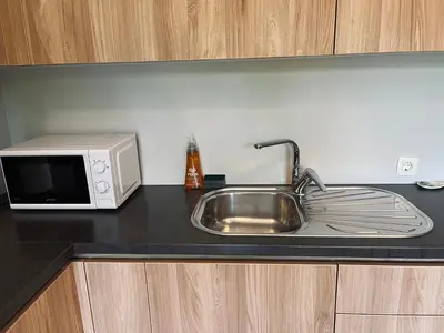 a kitchen counter with a sink and a microwave at Vitan Apartment in Bled