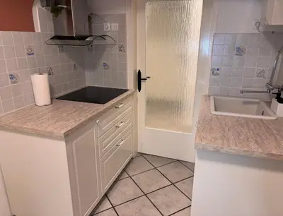 a small kitchen with a sink and a counter top at The Green City Apartment in Ljubljana
