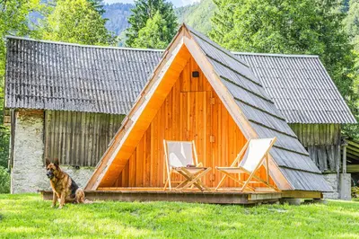 a large wooden house with two chairs and a dog at Glamping Radovna pr' Klemenak in Zgornje Gorje