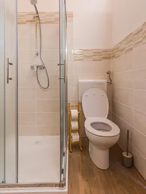 a bathroom with a toilet and a shower at Glamping Radovna pr' Klemenak in Zgornje Gorje