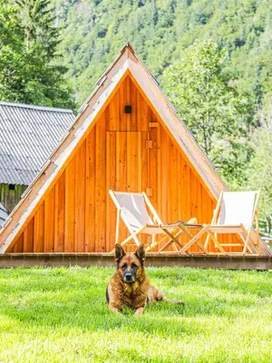 a dog laying in the grass in front of a building at Glamping Radovna pr' Klemenak in Zgornje Gorje