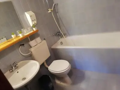 a bathroom with a toilet and a tub and a sink at Guest House Turistična kmetija Plaznik in Ljubno