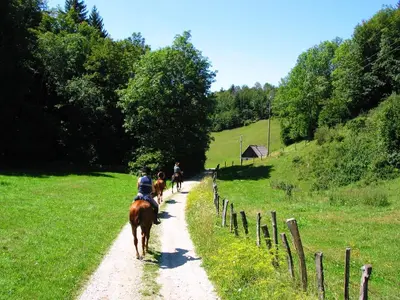 a group of people riding horses down a dirt road at Farm Pri Flandru in Cerkno