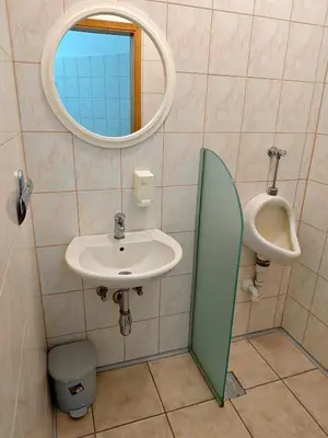 a bathroom with a sink and a mirror and a urinal at Soba Amaris bianco in Benedikt v Slovenskih Goricah