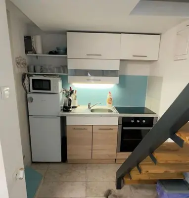 a kitchen with a sink and a white refrigerator at Cosy Corner Vič in Ljubljana