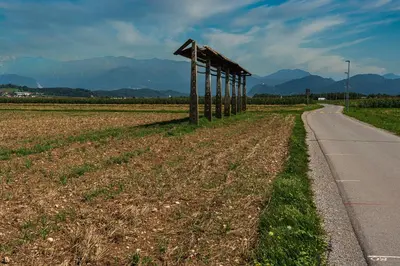 a row of posts in a field next to a road at Hiša Varleh in Mengeš