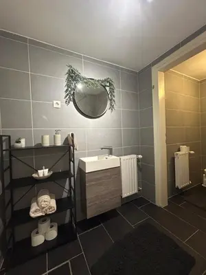 a bathroom with a sink and a mirror at Betnava Apartment in Maribor