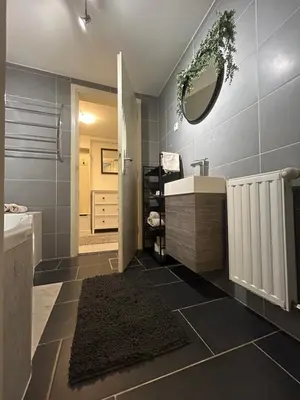 a bathroom with a sink and a mirror at Betnava Apartment in Maribor