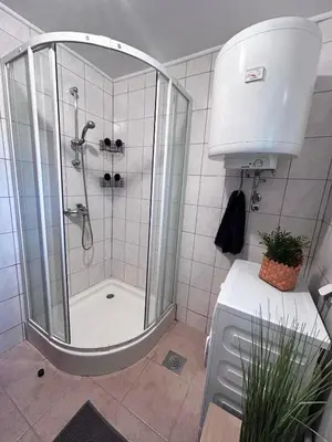 a shower stall in a bathroom with a plant at Vineyard cottage Ranč pri Hanzeku in Zgornji Leskovec