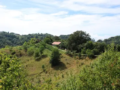 a house on top of a hill with trees at Vineyard cottage Ranč pri Hanzeku in Zgornji Leskovec