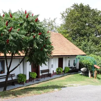 Vineyard cottage Ranč pri Hanzeku