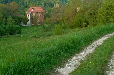 an old house in a field next to a dirt road at Kamp Jankovic in Gorenjcj