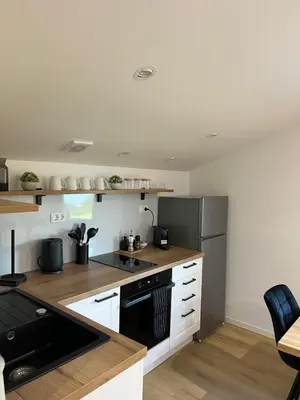 a kitchen with white cabinets and a black refrigerator at Mountain Escape with Sauna in Kobarid