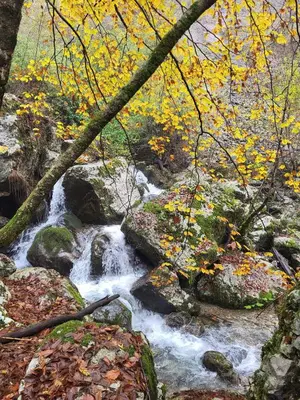 a stream in a forest with rocks and trees at Caissa - Spacious house in quiet location in Tolmin
