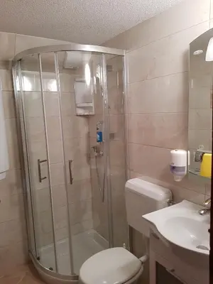 a bathroom with a shower and a toilet and a sink at Penzion Pr' Betel in Jesenice