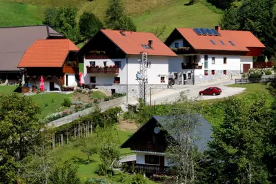an aerial view of a house with red roofs at Penzion Pr' Betel in Jesenice