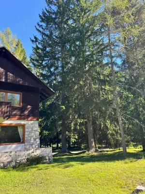 a log cabin with trees in the background at Cozy Mountain Stay near Kranjska Gora in Gozd Martuljek