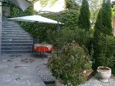 a patio with a table and an umbrella and some plants at Apartma 