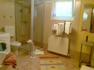 a bathroom with a shower and a toilet and a sink at Apartma 