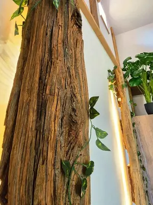 a tree trunk with a plant in a room at Holiday home in Trebelno - Dolenjska & Bela krajina (Unter- & Weißkrain) 54728 in Trebelno