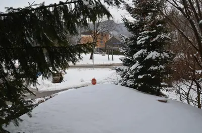 a snow covered yard with a red fire hydrant at Holiday House Bohinj in Bohinj