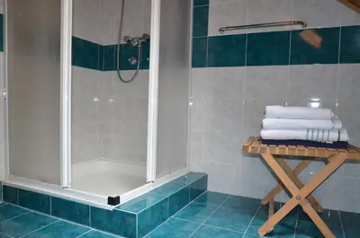 a shower in a bathroom with blue tiles at Holiday House Bohinj in Bohinj