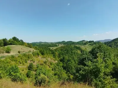 an overhead view of a hill with trees on it at Parzival relax Apartment in Žetale