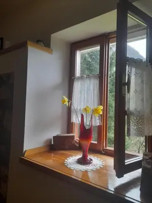 a vase with flowers in it sitting on a window sill at Owl's Nest Bovec in Bovec